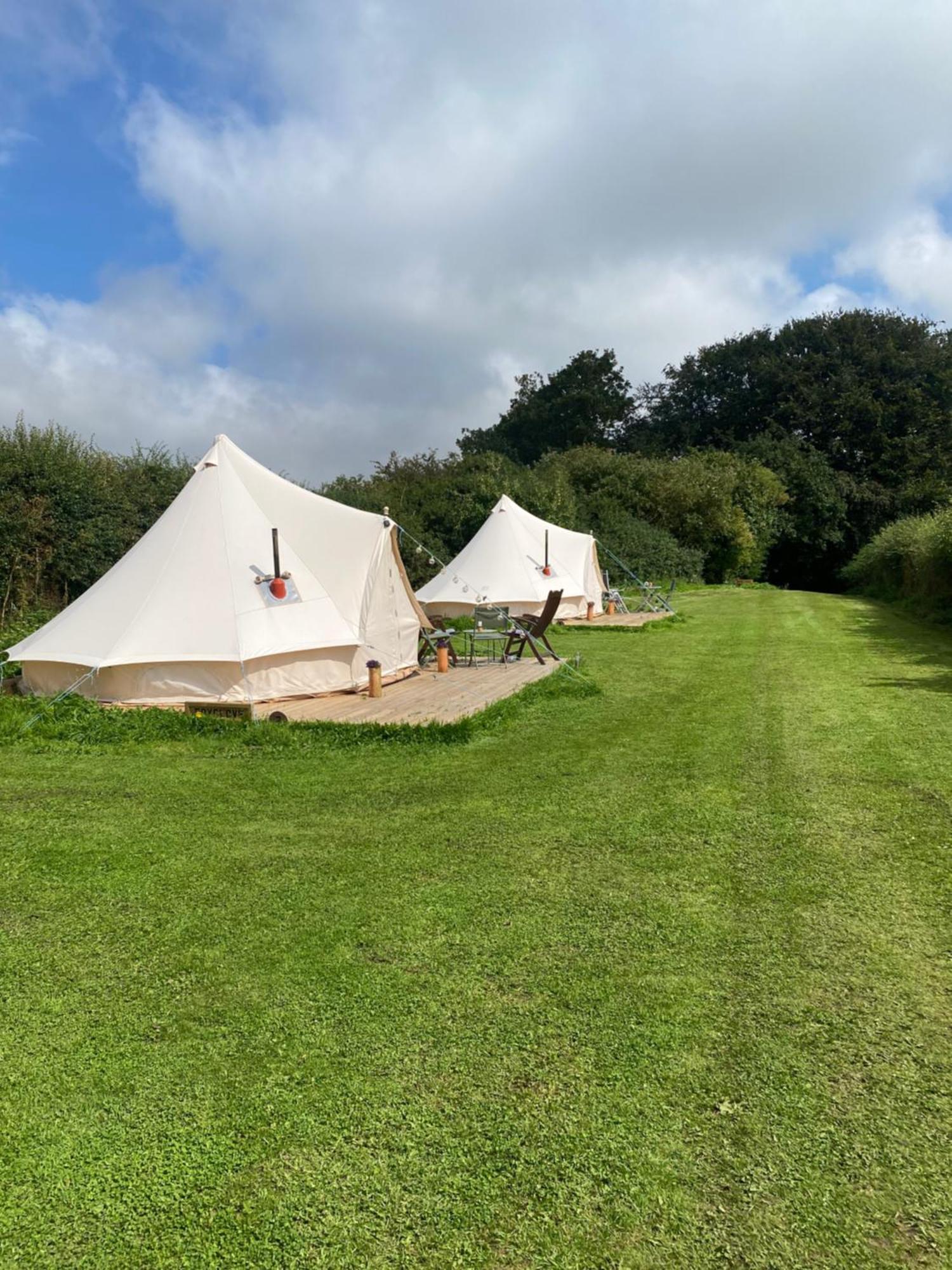 Roe Deer Meadow At Carr House Farm Hotell Scarborough Exteriör bild